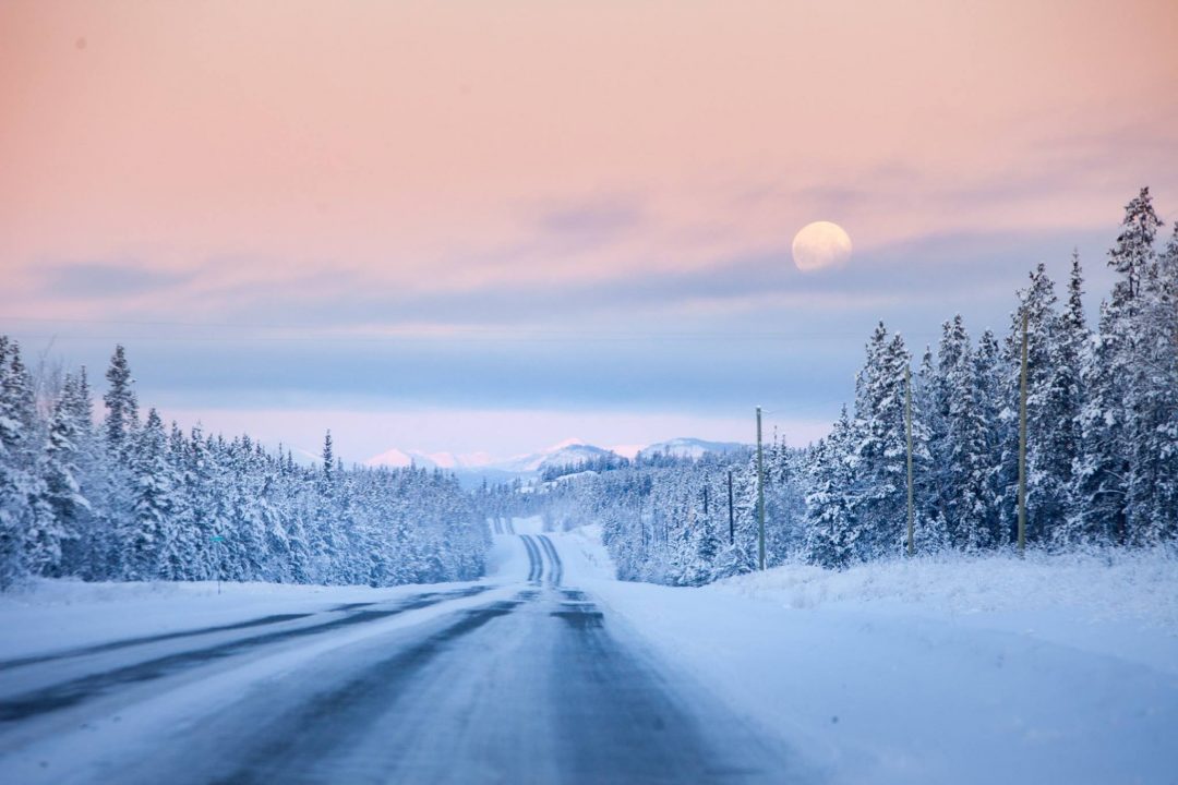 Getting Here - Yukon Wildlife Preserve