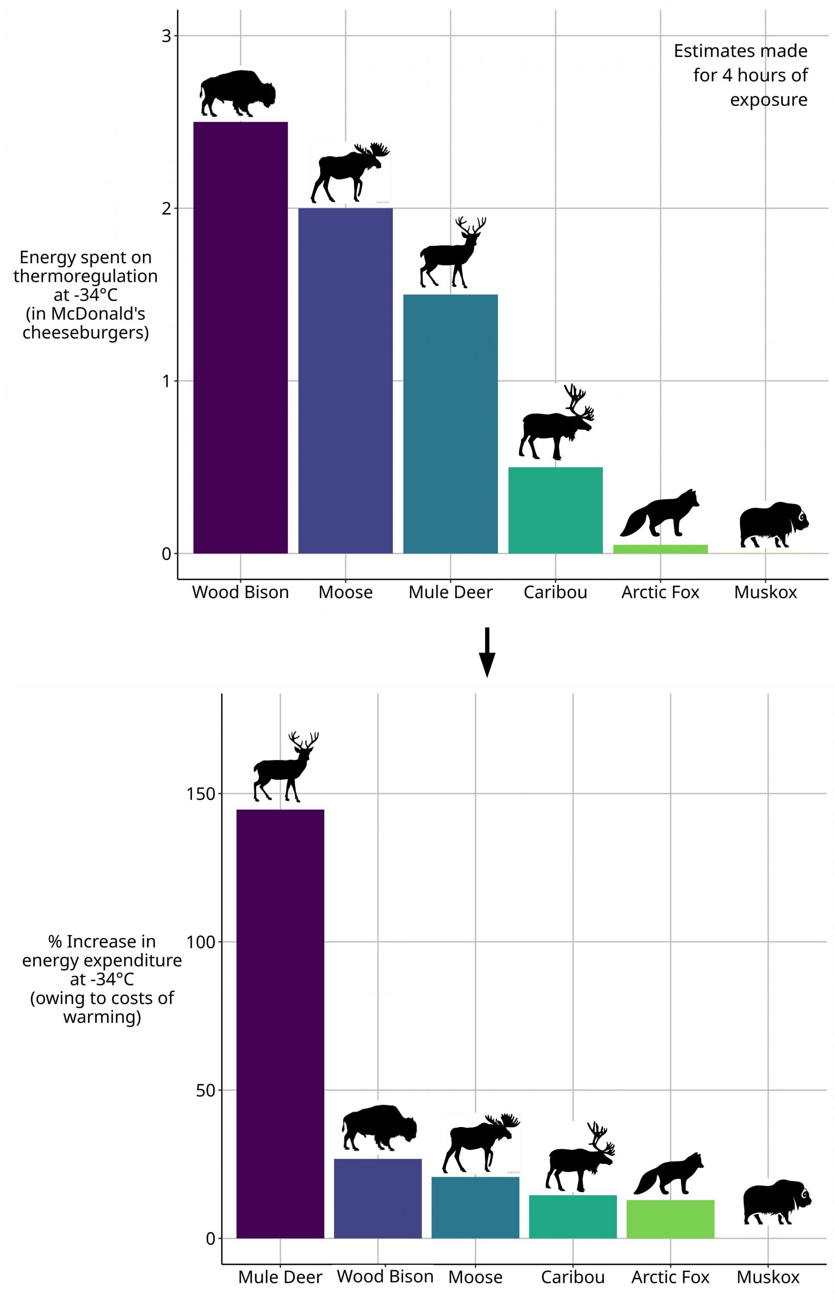 Two bar graphs showing absolute and relative energy use of 6 species of Yukon wildlife.