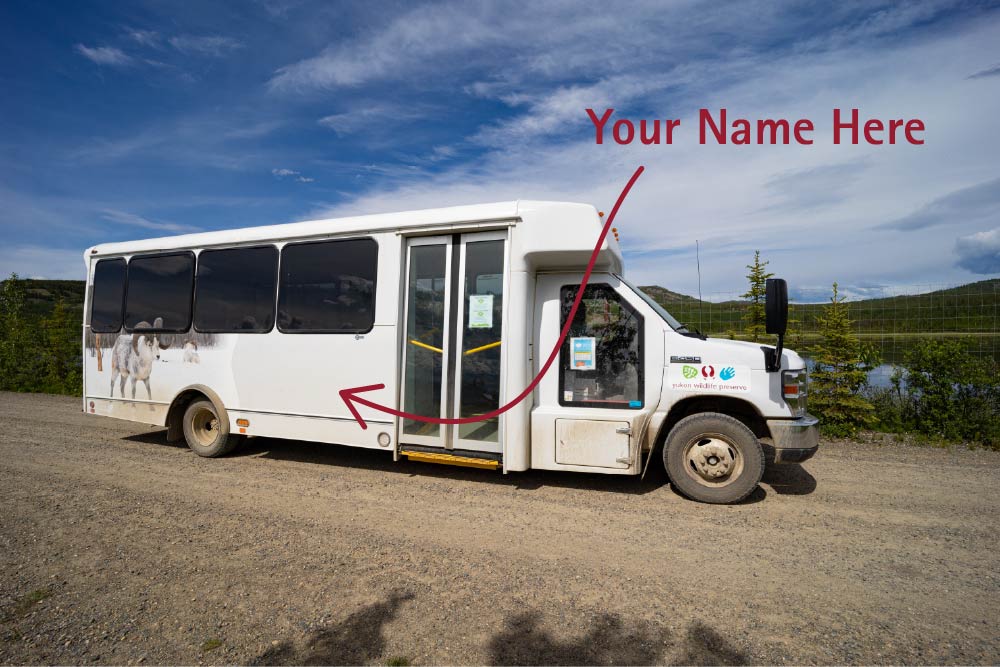 Photo of bus with "your name here" text.
