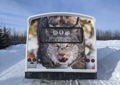 Photo of back of bus with lynx face on the back.