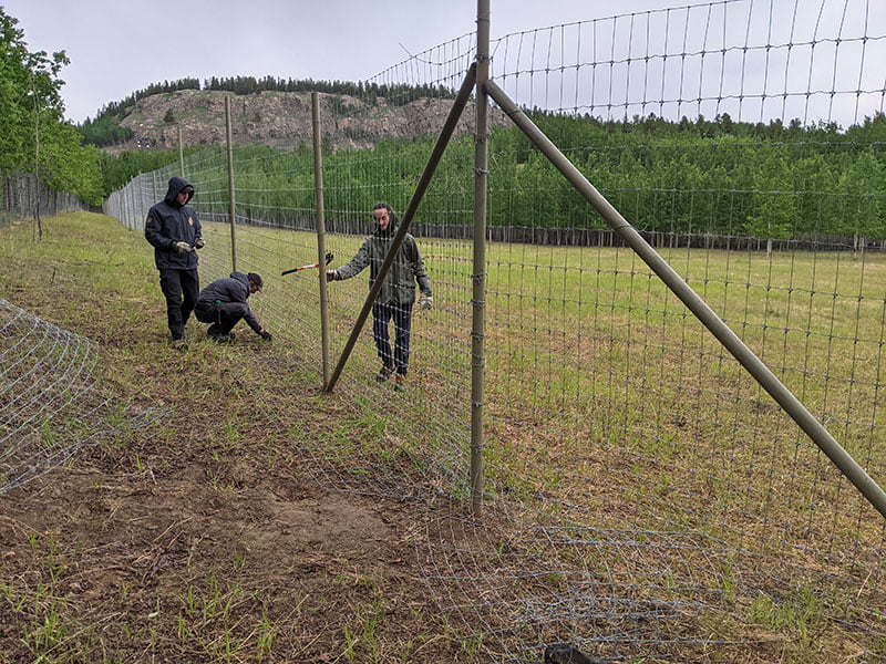 Photo of YWP staff working on installing fencing.