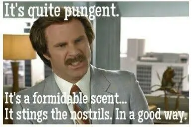 A quote from the movie Anchorman