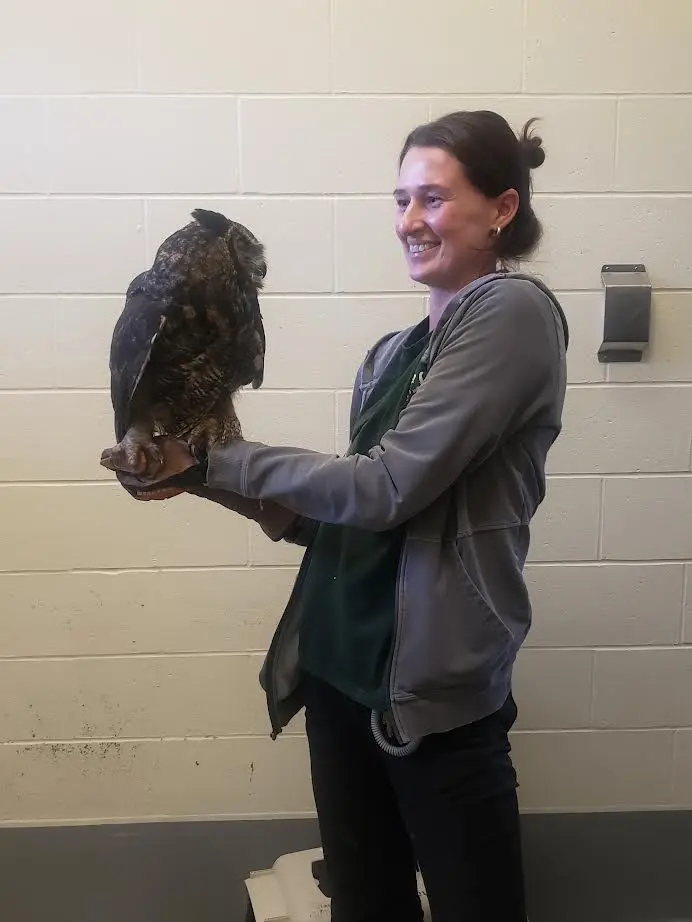 Alexis, Wildlife Care and Rehabilitation Technician and veterinary technician handles the bird during an examination.