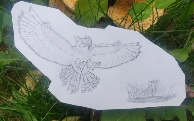 The Patience of a One-Eyed Owl