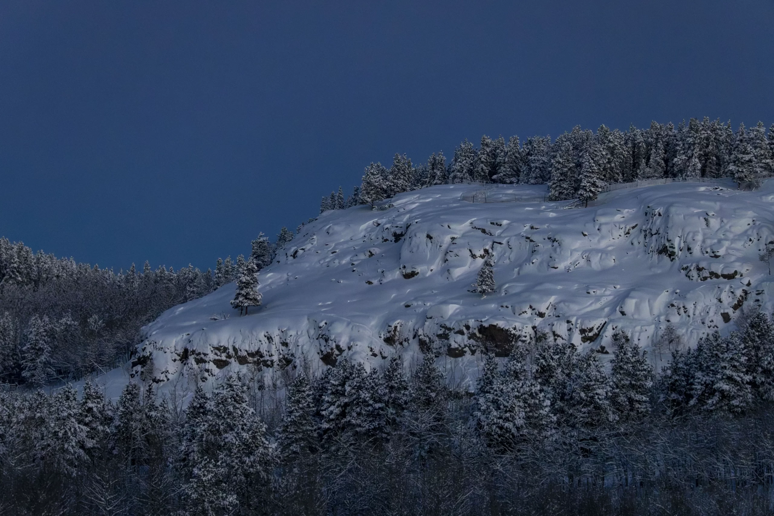 Cold snowy morning light on the mountain goat cliff at the Yukon Wildlife Preserve.  Credit J. Paleczny