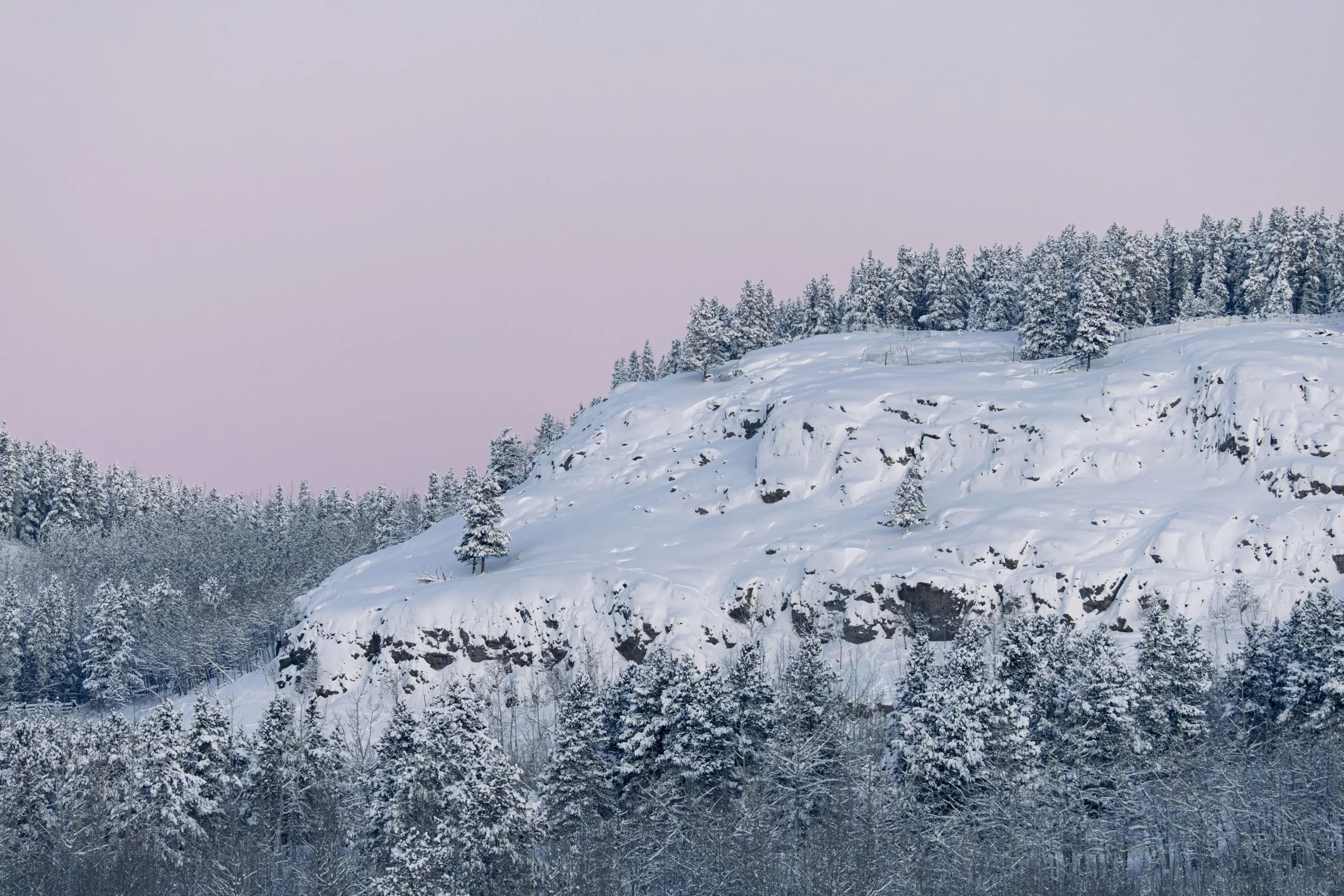 Cold snowy morning light on the mountain goat cliff at the Yukon Wildlife Preserve. Credit J. Paleczny Cold snowy morning light on the mountain goat cliff at the Yukon Wildlife Preserve. Credit J. Paleczny