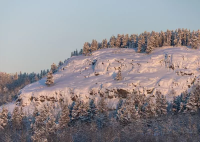Cold snowy morning light on the mountain goat cliff at the Yukon Wildlife Preserve. Credit J. Paleczny