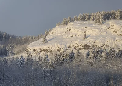 Cold snowy morning light on the mountain goat cliff at the Yukon Wildlife Preserve. Credit J. Paleczny