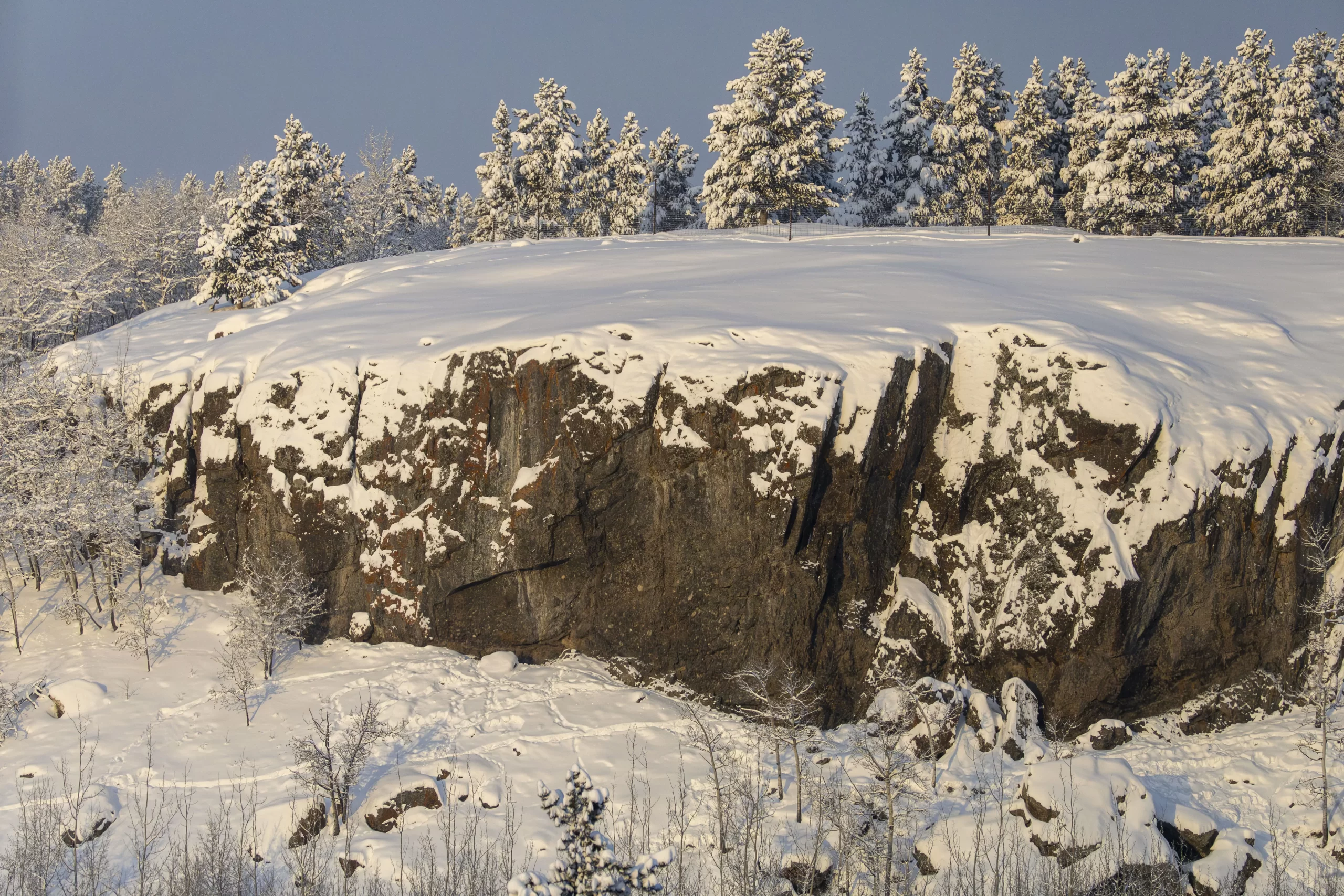 Cold snowy morning light on the mountain goat cliff at the Yukon Wildlife Preserve. Credit J. Paleczny