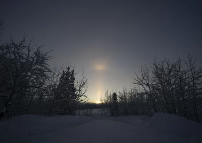Cold snow and sundog lights at the Yukon Wildlife Preserve. J. Paleczny