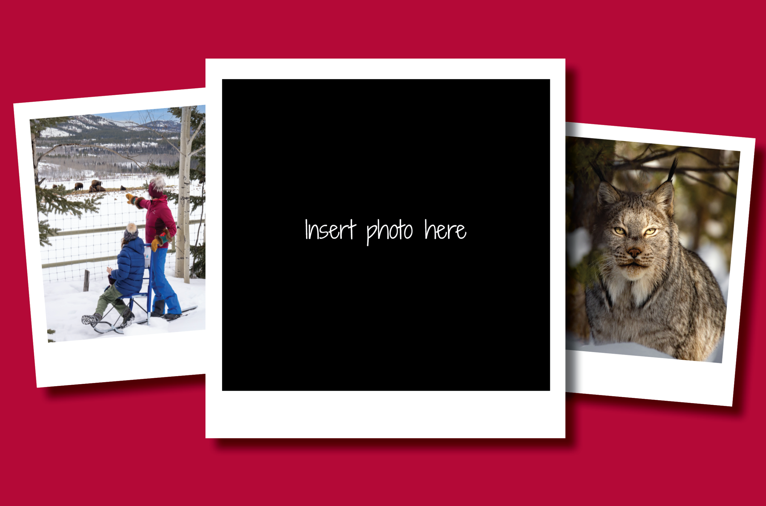 Halloween event Yukon bring your own roastables smores costumes and fun!