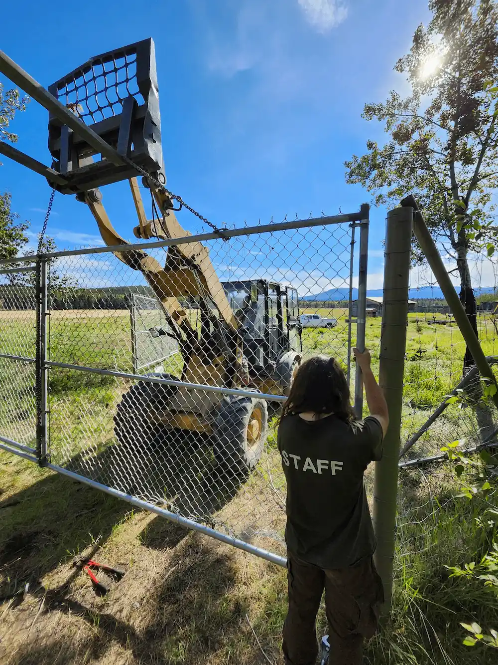 Hanging a new gate in the elk pasture A photo of a loader holding a gate up while a YWP staff person attaches it to a post.