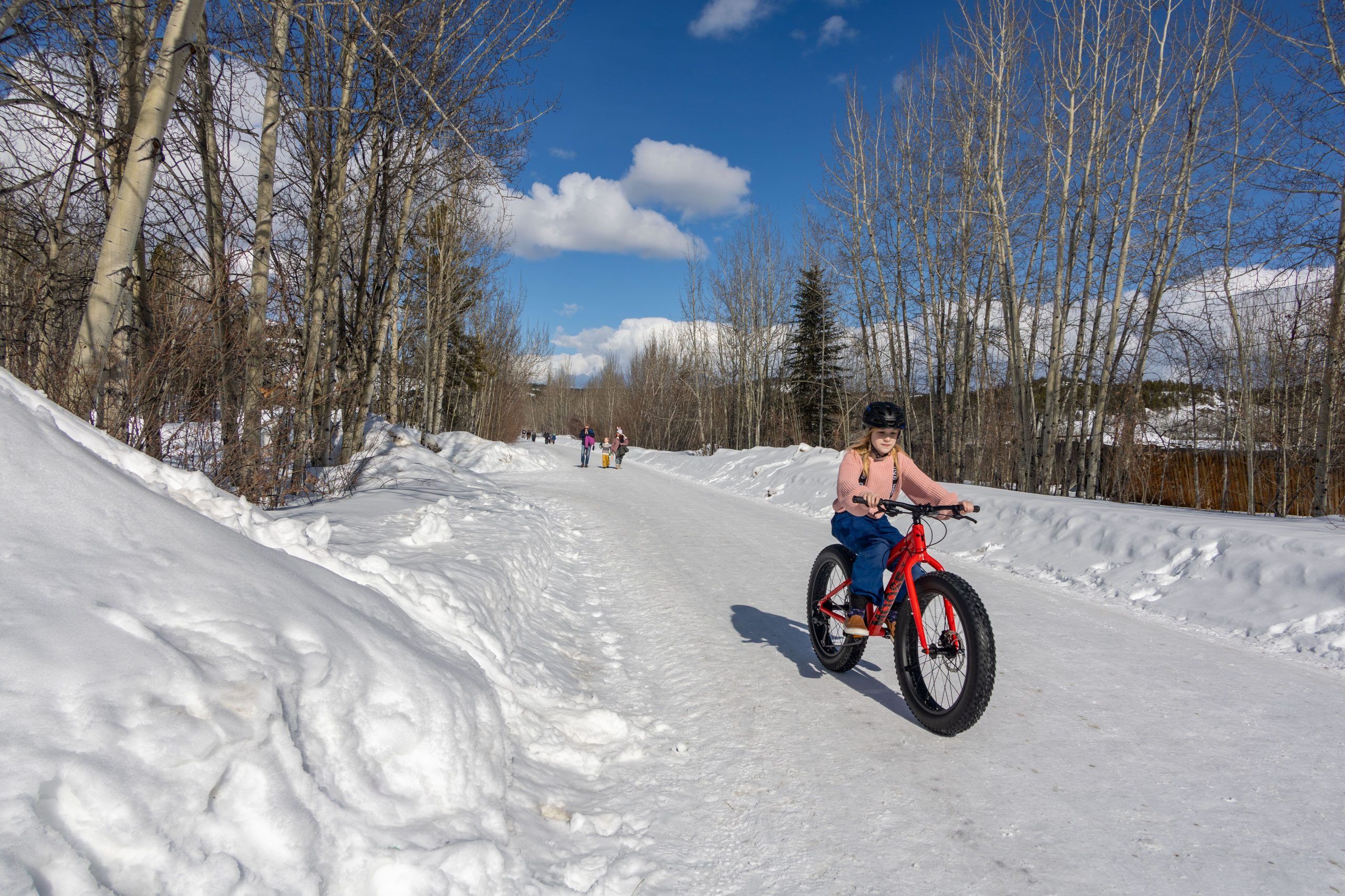 Spring fat biking at the Preserve Bat bike riding at the Yukon Wildlife Preserve in spring