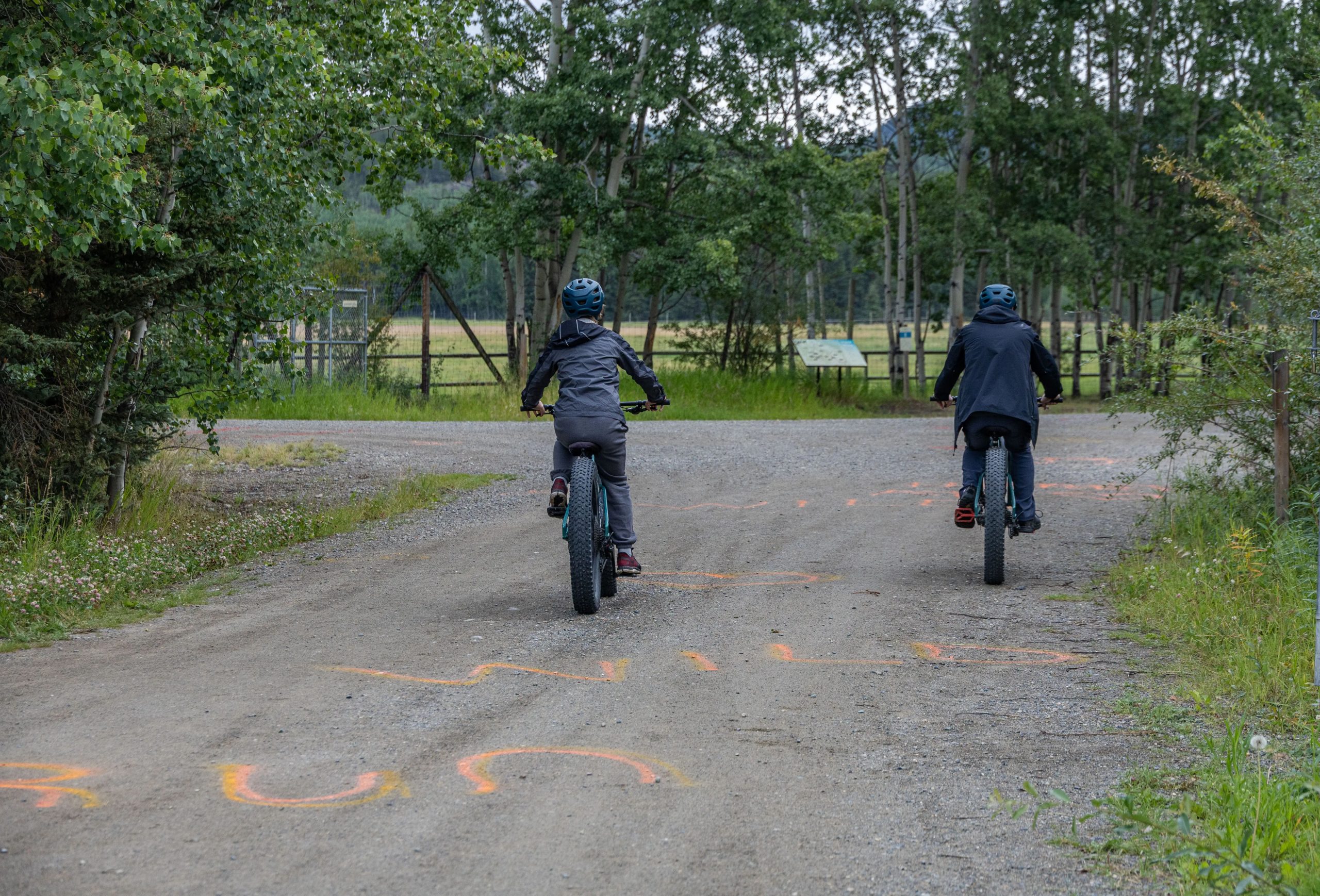 Summer fat biking at the Preserve. Rent a fatbike at the Preserve to explore wild places and wildlife. Bat bike riding at the Yukon Wildlife Preserve in spring
