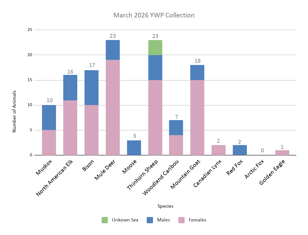 March 2026 Animal Collection Numbers