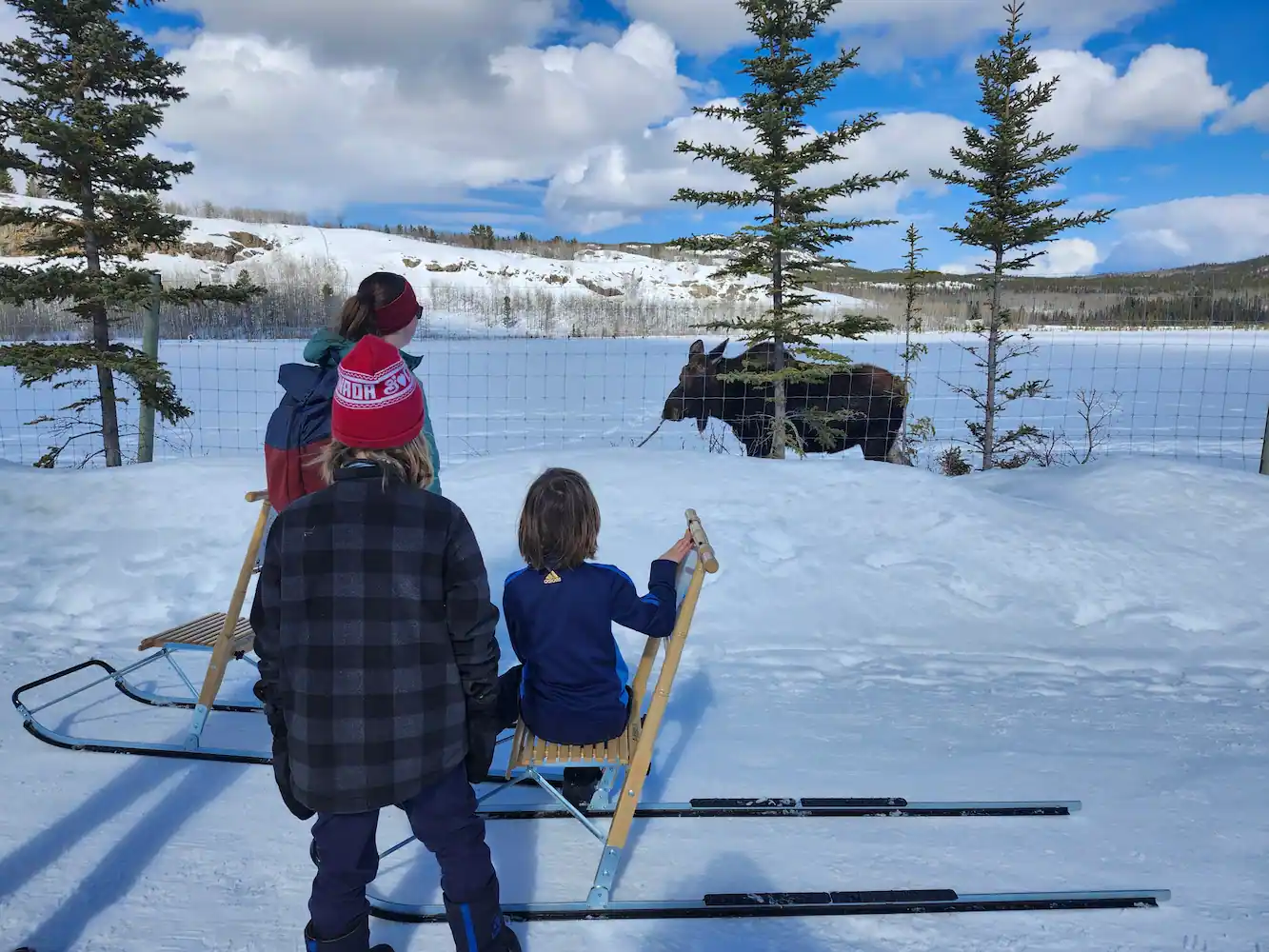 Kicksledding at the Preserve